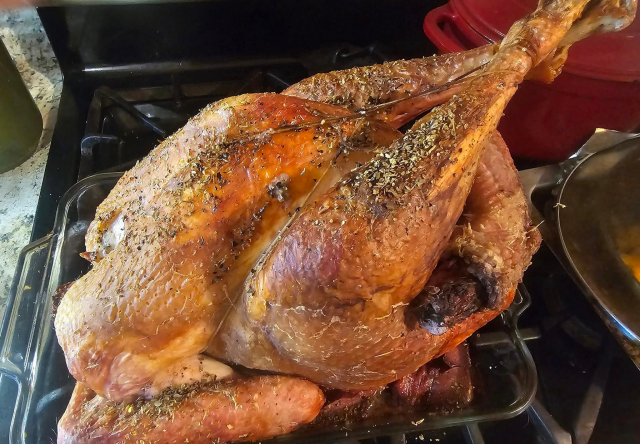 Cooked Turkey 01.png